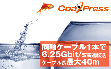 CoaXPress対応ボード APX-3662 | 画像製品 | 製品・サービス | 株式